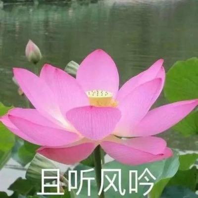 京津冀协同修复治理永定河成效初显